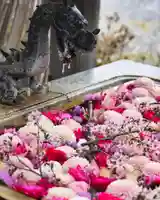 長良神社(群馬県)