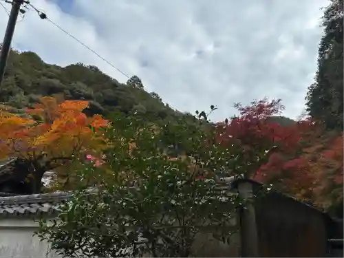 高徳庵　(最勝院）(京都府)