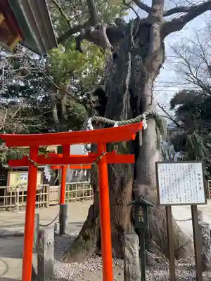 新田神社(東京都)