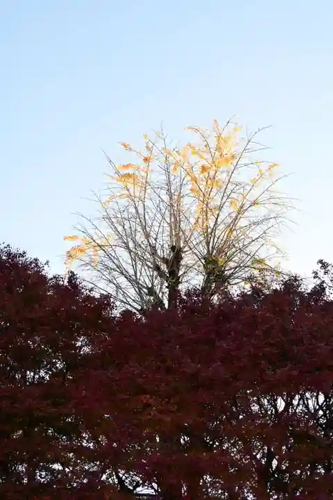 国宝 長寿寺(滋賀県)