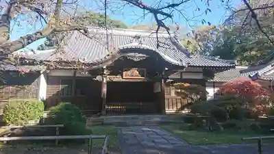 大円寺の本殿・本堂