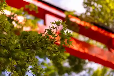 賀茂御祖神社（下鴨神社）(京都府)