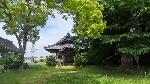 國分寺（国分寺）(京都府)