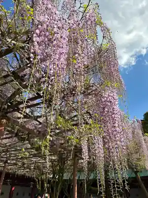 笠間稲荷神社(茨城県)