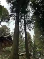 大宮温泉神社(栃木県)