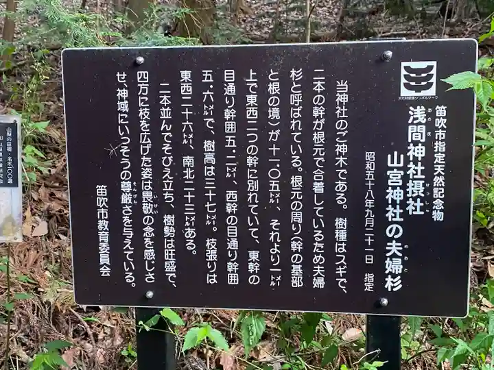 山宮神社(山梨県)