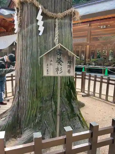 穂高神社本宮(長野県)