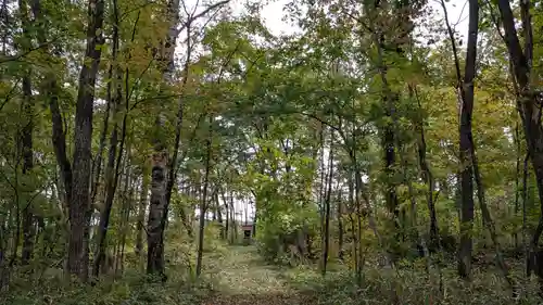 元札内神社の自然