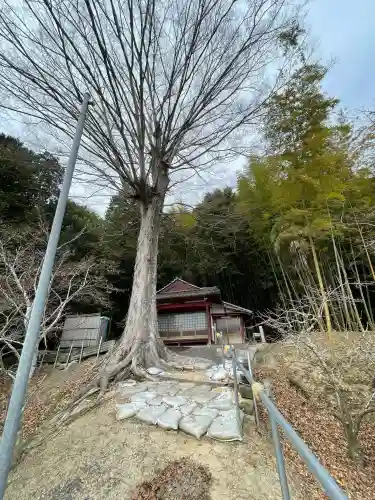 朝口観音堂の{uncategorized: "未分類", other: "その他", undefined: "問題あり", building: "その他建物", grave: "お墓", sacred_gate: "鳥居", guardian: "狛犬", statue: "像", buddha: "仏像", history: "歴史", nature: "自然", garden: "庭園", animal: "動物", pagoda: "塔", temizu: "手水舎", mountain_gate: "山門・神門", sanctuary: "本殿・本堂", subordinate: "末社・摂社", art: "芸術", scenery: "景色", jizo: "地蔵", ema: "絵馬", goshuin: "御朱印", omikuji: "おみくじ", items: "授与品その他", amulet: "お守り", goshuincho: "御朱印帳", eats: "食事", festival: "お祭り", votive_dance: "神楽", shichigosan: "七五三参", wedding: "結婚式", experience: "体験その他", initially: "初詣", around: "周辺", anti_infection: "感染症対策"}