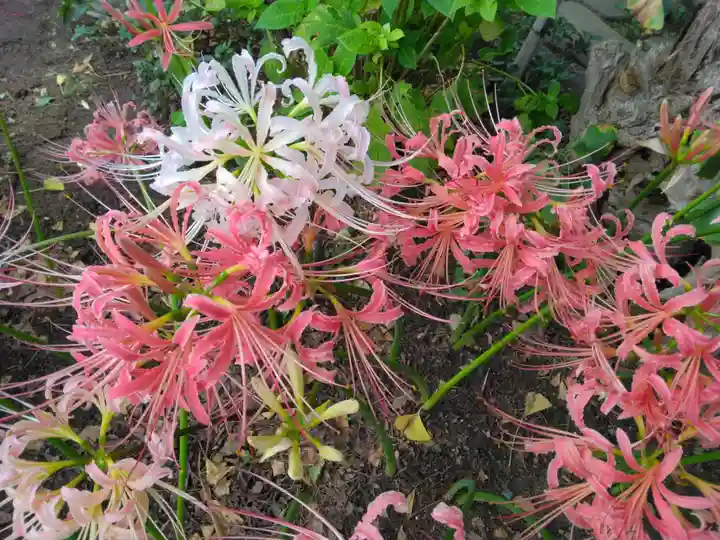 横浜 西方寺(神奈川県)