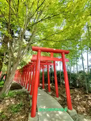 伊佐須美神社(福島県)