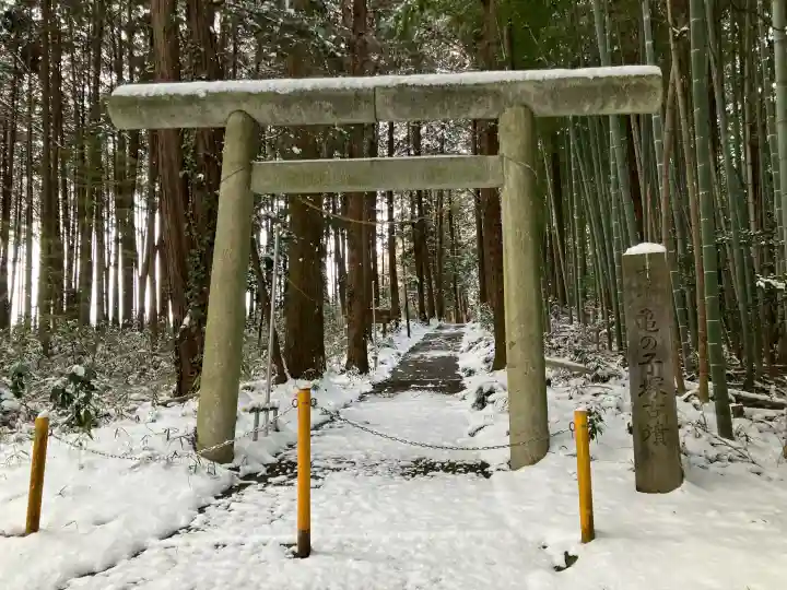 行事神社の{uncategorized: "未分類", other: "その他", undefined: "問題あり", building: "その他建物", grave: "お墓", sacred_gate: "鳥居", guardian: "狛犬", statue: "像", buddha: "仏像", history: "歴史", nature: "自然", garden: "庭園", animal: "動物", pagoda: "塔", temizu: "手水舎", mountain_gate: "山門・神門", sanctuary: "本殿・本堂", subordinate: "末社・摂社", art: "芸術", scenery: "景色", jizo: "地蔵", ema: "絵馬", goshuin: "御朱印", omikuji: "おみくじ", items: "授与品その他", amulet: "お守り", goshuincho: "御朱印帳", eats: "食事", festival: "お祭り", votive_dance: "神楽", shichigosan: "七五三参", wedding: "結婚式", experience: "体験その他", initially: "初詣", around: "周辺", anti_infection: "感染症対策"}
