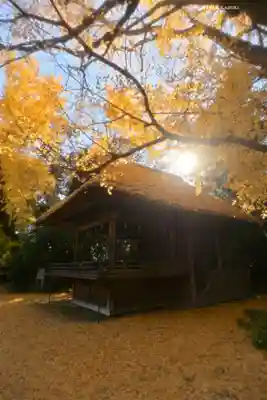 玉敷神社(埼玉県)