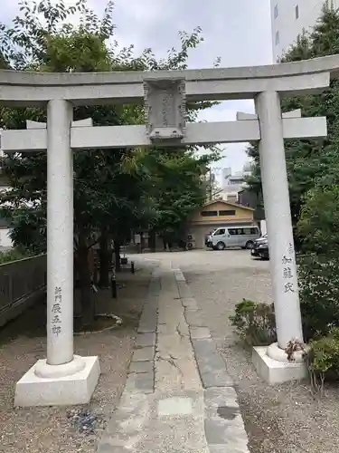 浅草神社の鳥居