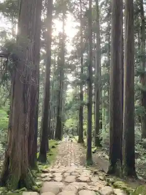 平泉寺白山神社(福井県)