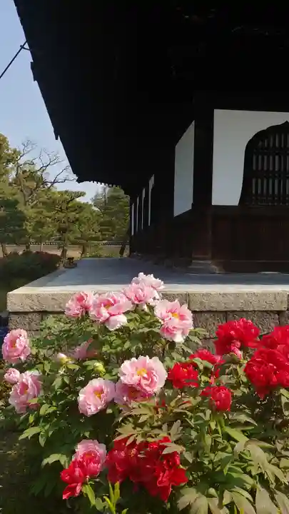 建仁寺(建仁禅寺)の庭園