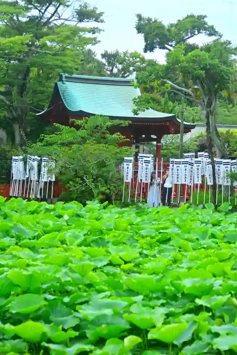 鶴岡八幡宮の末社・摂社
