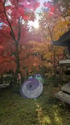 勝林寺(京都府)