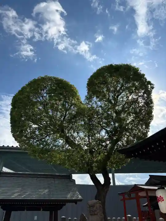 南宮宇佐八幡神社(脇浜神社)の{uncategorized: "未分類", other: "その他", undefined: "問題あり", building: "その他建物", grave: "お墓", sacred_gate: "鳥居", guardian: "狛犬", statue: "像", buddha: "仏像", history: "歴史", nature: "自然", garden: "庭園", animal: "動物", pagoda: "塔", temizu: "手水舎", mountain_gate: "山門・神門", sanctuary: "本殿・本堂", subordinate: "末社・摂社", art: "芸術", scenery: "景色", jizo: "地蔵", ema: "絵馬", goshuin: "御朱印", omikuji: "おみくじ", items: "授与品その他", amulet: "お守り", goshuincho: "御朱印帳", eats: "食事", festival: "お祭り", votive_dance: "神楽", shichigosan: "七五三参", wedding: "結婚式", experience: "体験その他", initially: "初詣", around: "周辺", anti_infection: "感染症対策"}