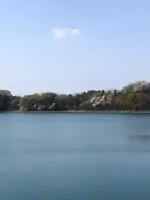 氷川神社の周辺
