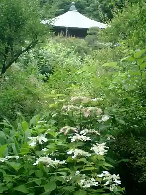 瑞泉寺のその他建物