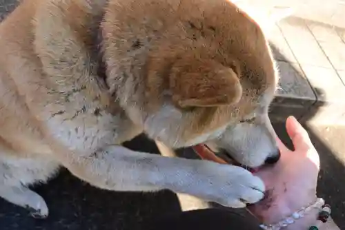 笠䅣稲荷神社(神奈川県)