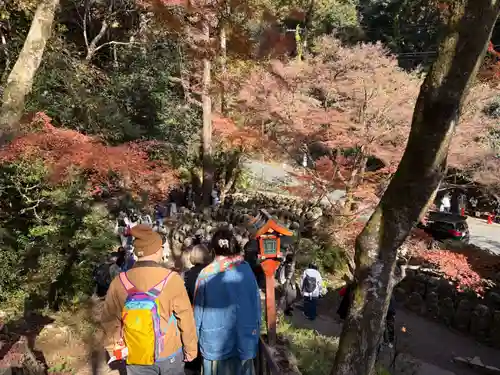 愛宕念仏寺(京都府)