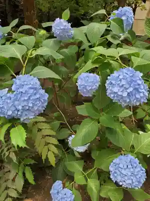 小野照崎神社(東京都)
