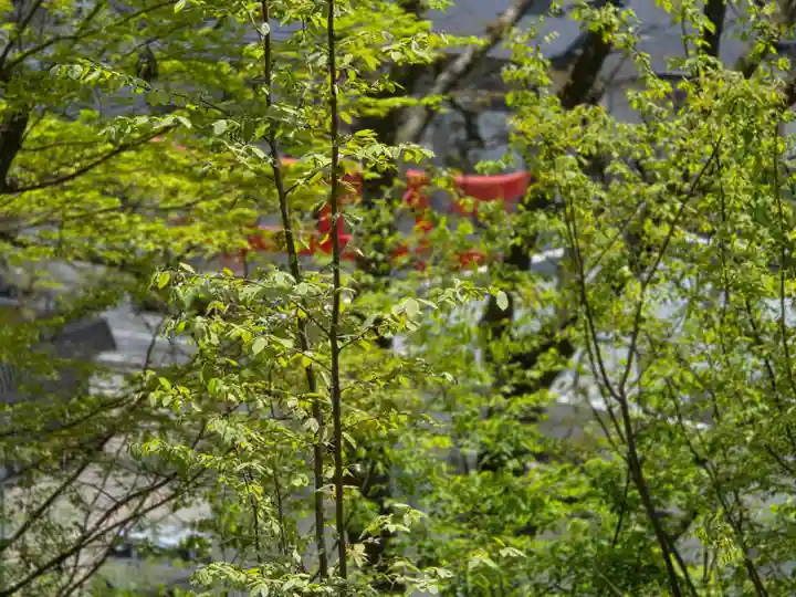 寒河江八幡宮(山形県)