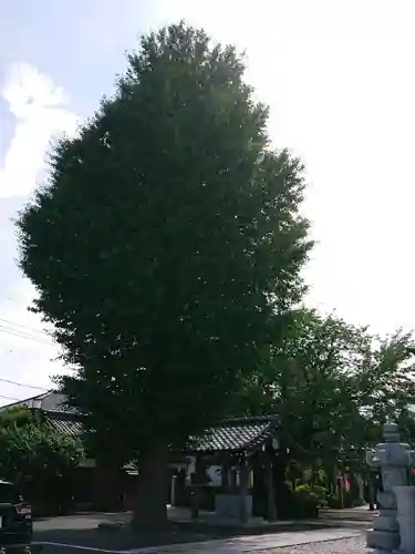 妙善寺のその他建物