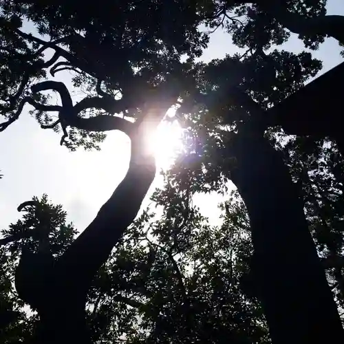 森稲荷大明神の自然