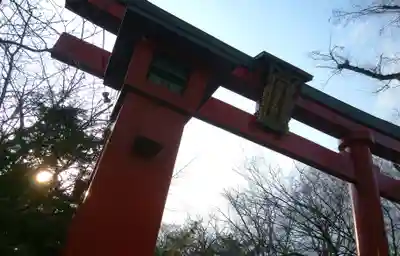 彌彦神社　(伊夜日子神社)の鳥居