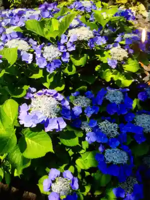 光明院(東京都)