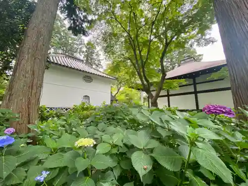 真正極楽寺（真如堂）の自然