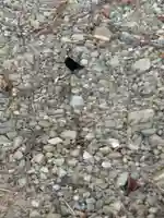 子眉嶺神社(福島県)