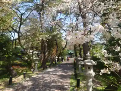 鶴嶺八幡宮(神奈川県)