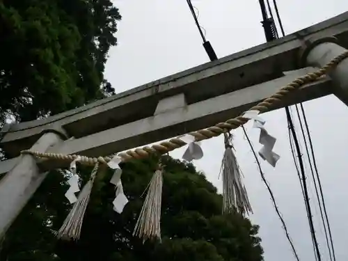 筑波山神社の鳥居