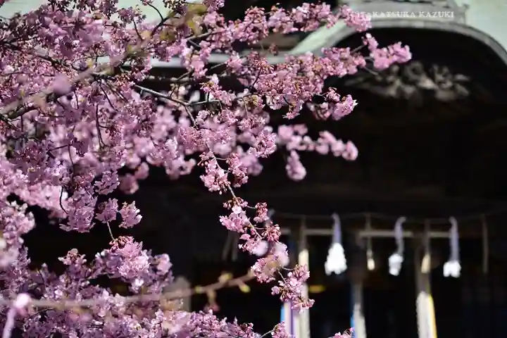桜神宮(東京都)