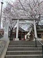 浅草富士浅間神社の鳥居