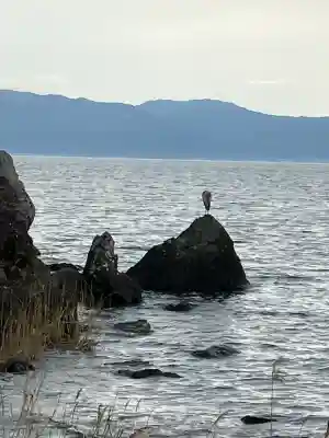 藤ヶ崎龍神社(滋賀県)