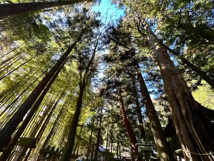 大宮熱田神社(長野県)