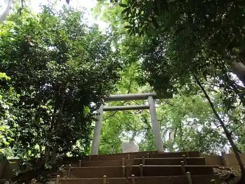 浅間大神の鳥居