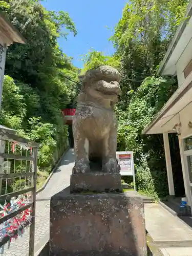 江島神社の狛犬