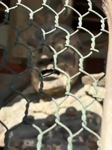 廣隆寺(京都府)