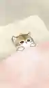 モフさんのプロフィール画像