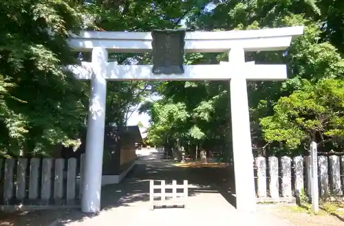 亀田八幡宮の鳥居