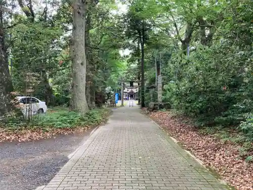 青海神社の建物その他