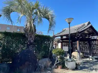 円頓寺(東京都)