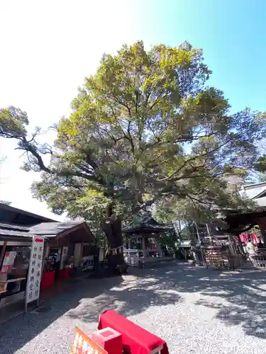 座間神社(神奈川県)