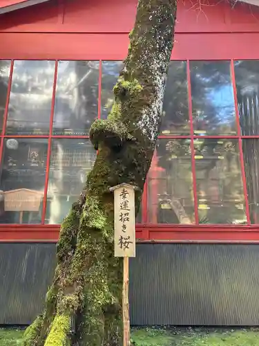 日光二荒山神社(栃木県)